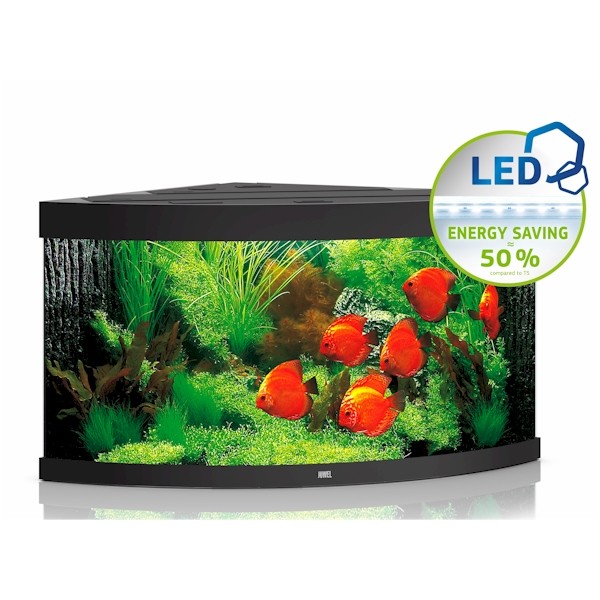 Juwel Trigon 350 Led Aquarium Black The WaterZoo Tropical fish